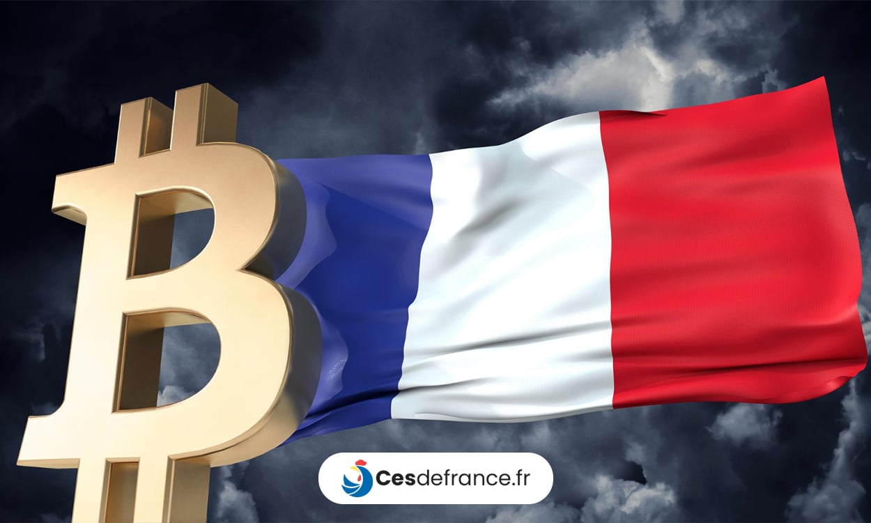 Les crypto monnaies et l'état Français