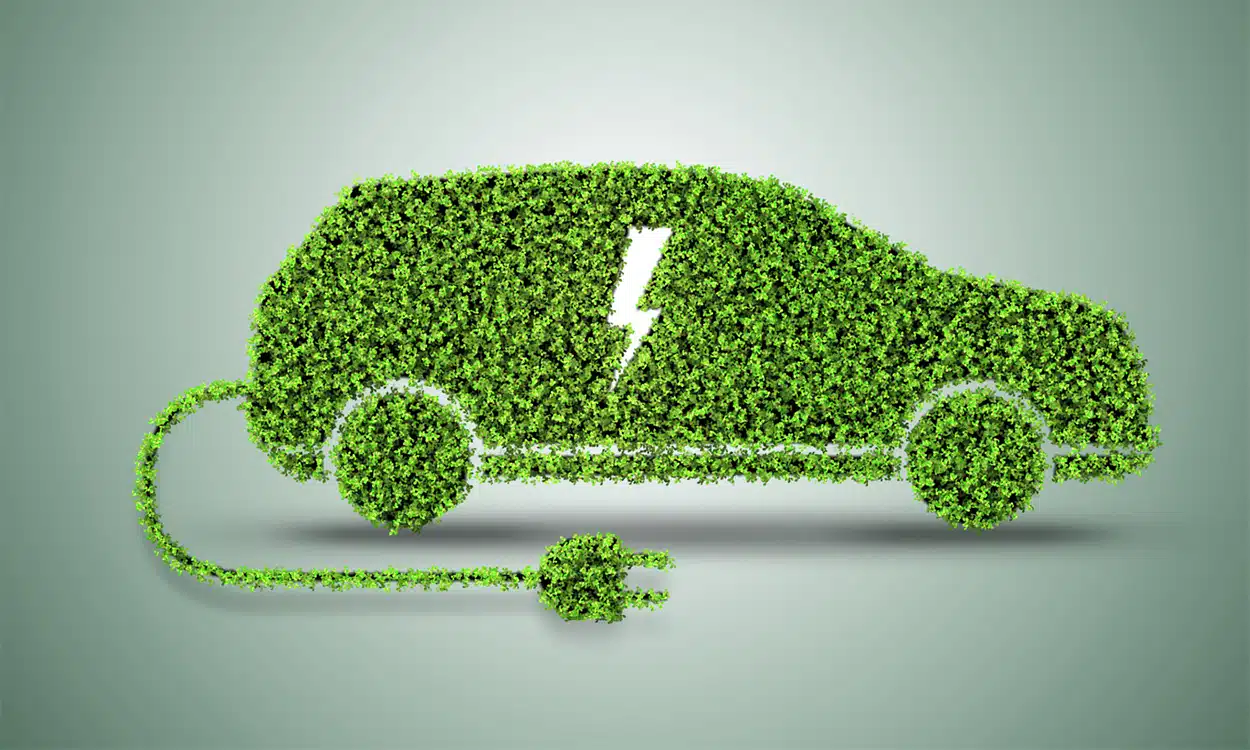Voiture électrique recouverte de plantes vertes