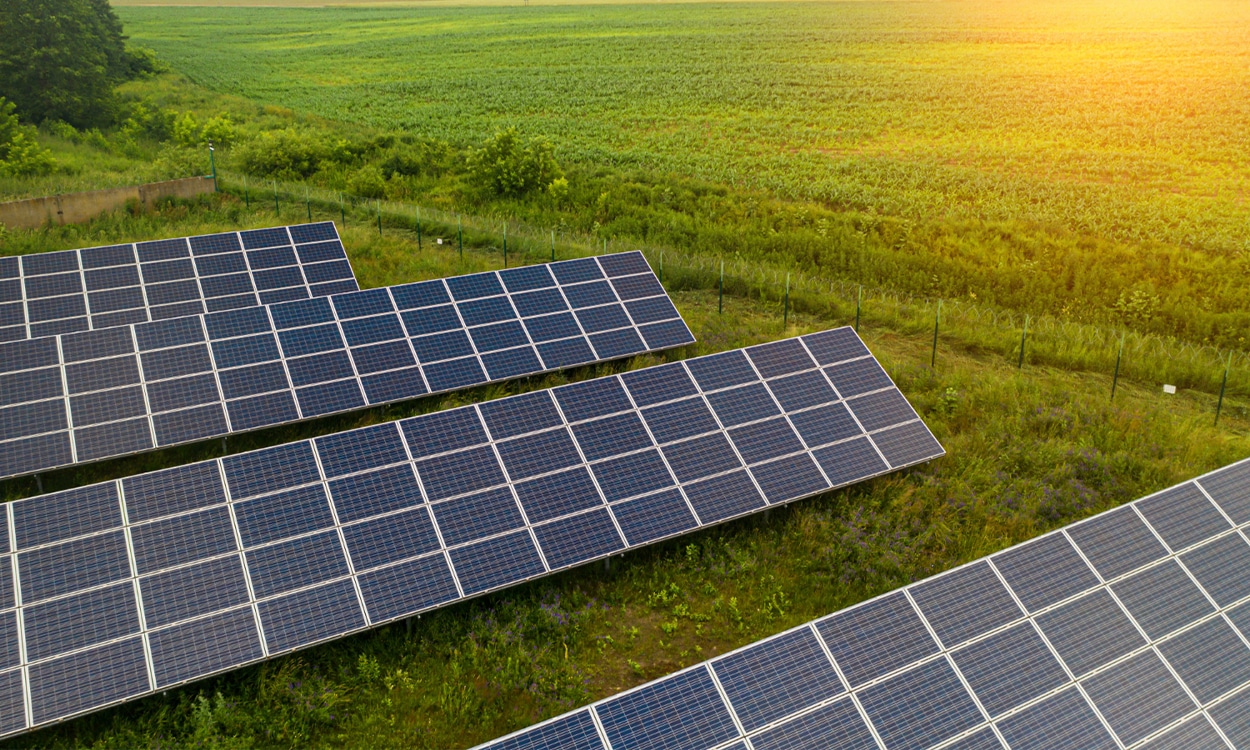 Parc de panneaux solaires photovoltaïques installé sur un terrain agricole privé.