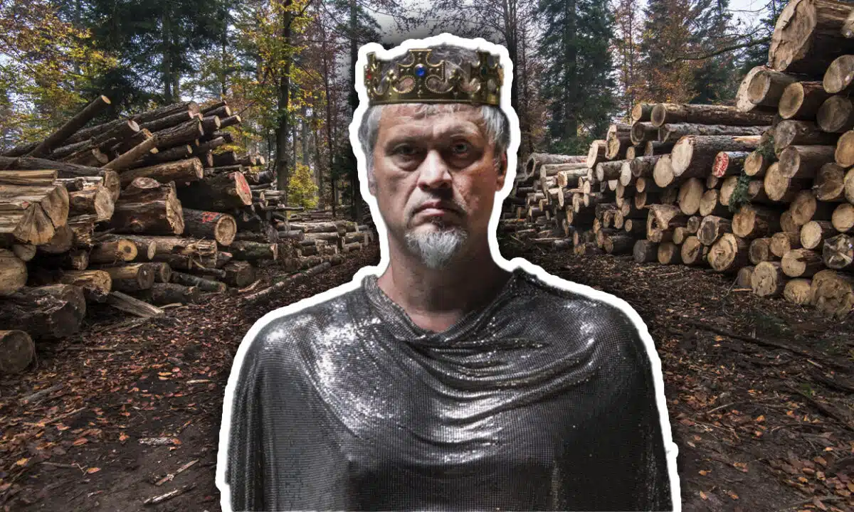 Un roi médiéval devant un tas de bûches de bois dans une forêt