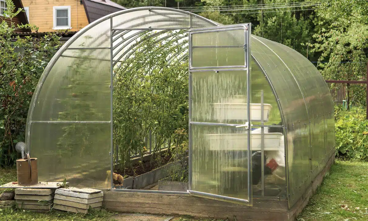 Une serre de jardin en PVC avec des plans de tomates à l'intérieur