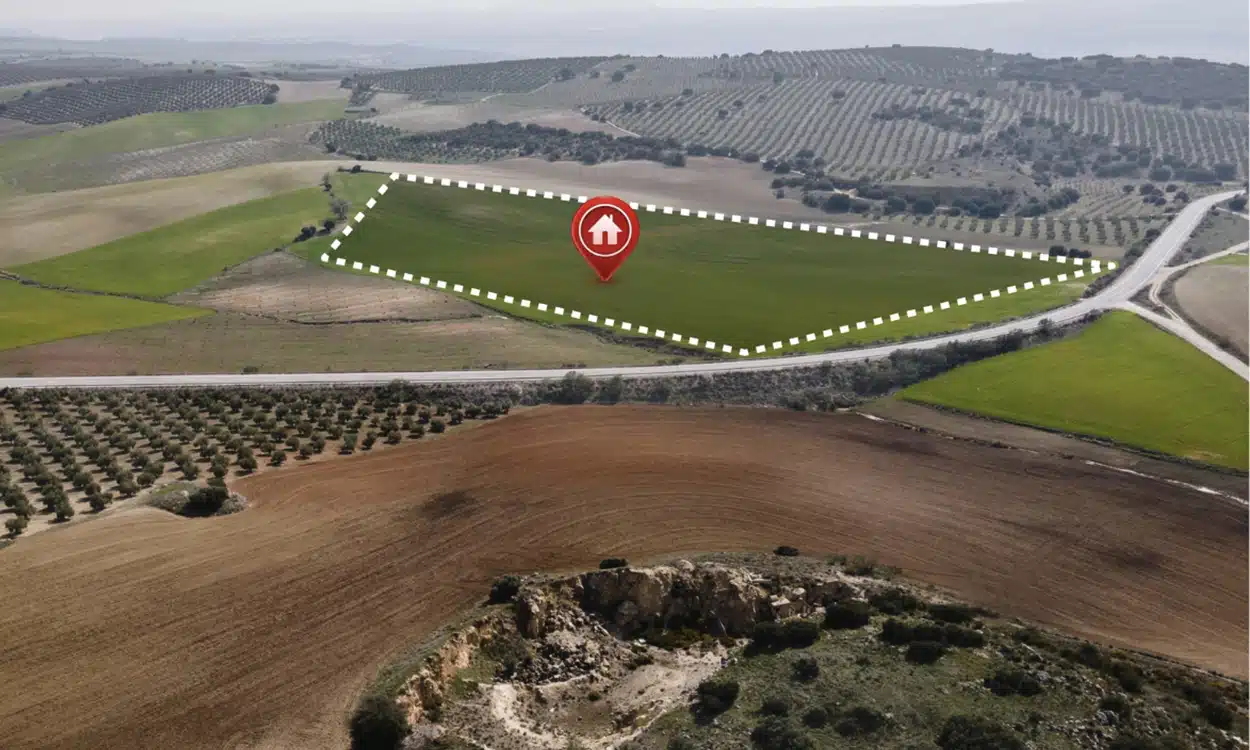 Une parcelle de terrain