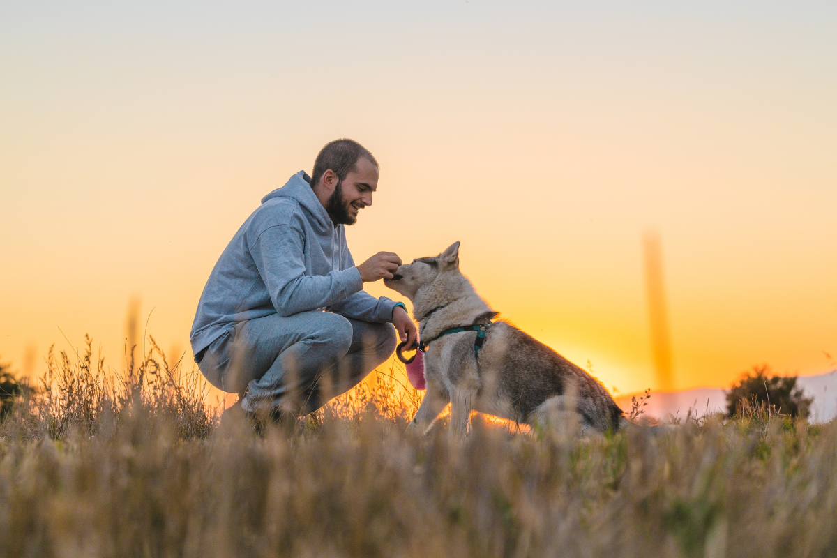 Une taxe de 100 € pour les propriétaires de chiens ?